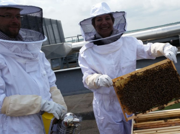 Récolte du miel, ruche du Centre Prouvé