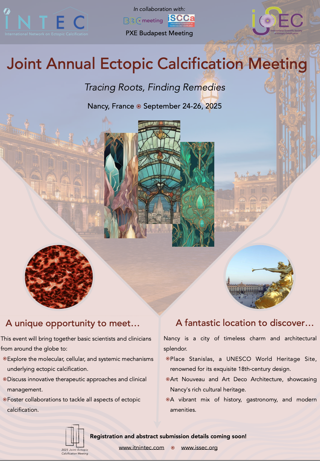 2025 Joint Ectopic Calcification Meeting ISSEC/INTEC