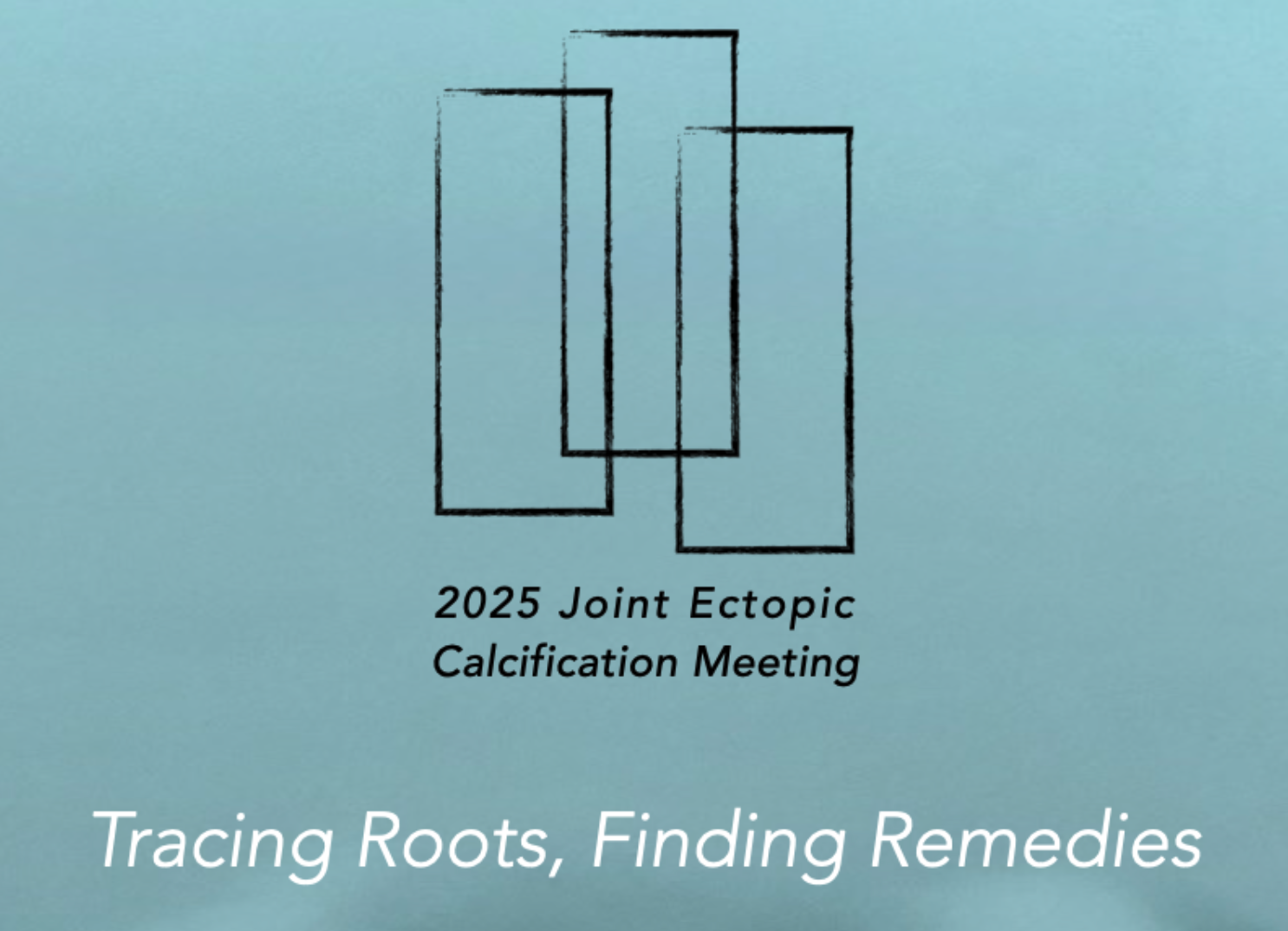 2025 Joint Ectopic Calcification Meeting ISSEC/INTEC